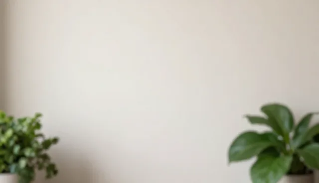 包装设计中的线上店铺运营检查要点